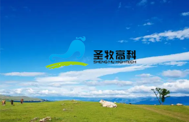 內蒙古網站優化,圣牧高科